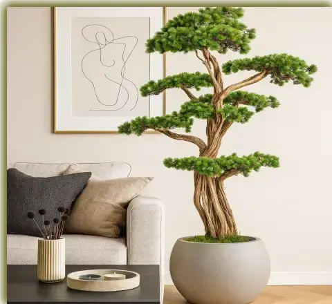 Bonsai Ağaç
